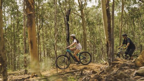 The Best Mountain Bike Trails in Grasstree Beach, Queensland …