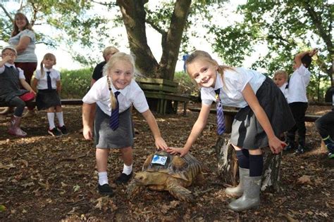 The Best Primary Schools In Martlesham - Locrating