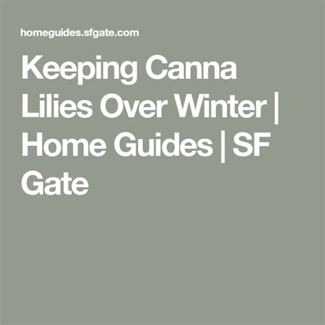 The Best Rust Resistant Lily Home Guides SF Gate