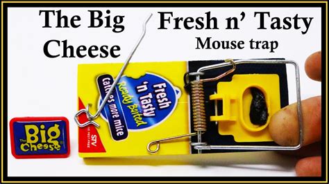 The Big Cheese - Fresh N