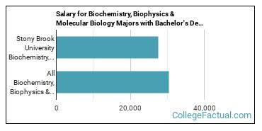 The Biochemistry Major at Stony Brook University - College Factual