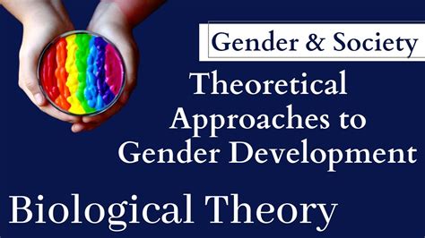 The Biological Theory And Gender Essay - 1298 Words Bartleby