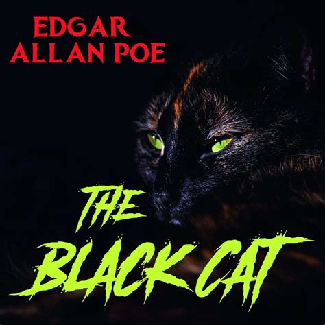 The Black Cat by Edgar Allan Poe - Audio Book