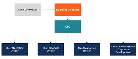 The Board of Directors