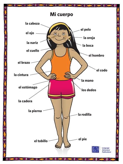 The Body Parts In Spanish – From Head To Toe