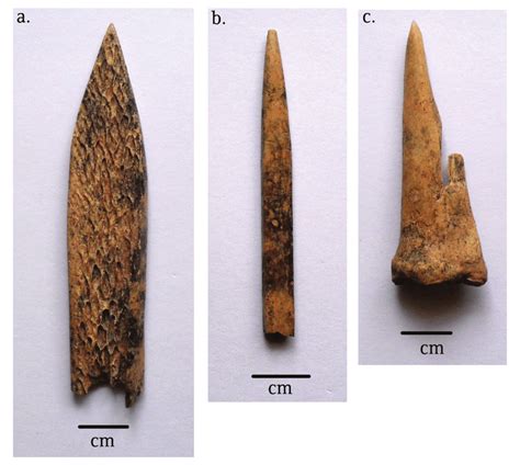 The Bone Is Pointed