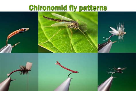 The Book Of Fly Patterns