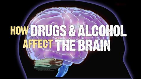 The Brain on Drugs How Drugs and Alcohol Affect the …