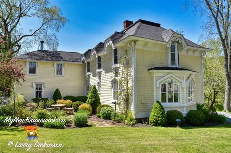 Read The Bride's House