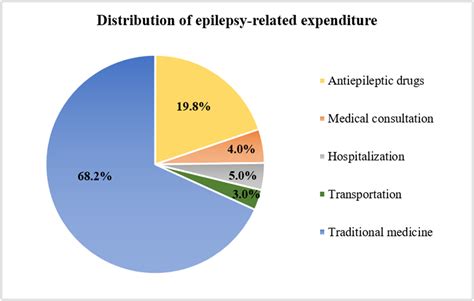 The Burden of Epilepsy to Patients and Payers - ajmc.com