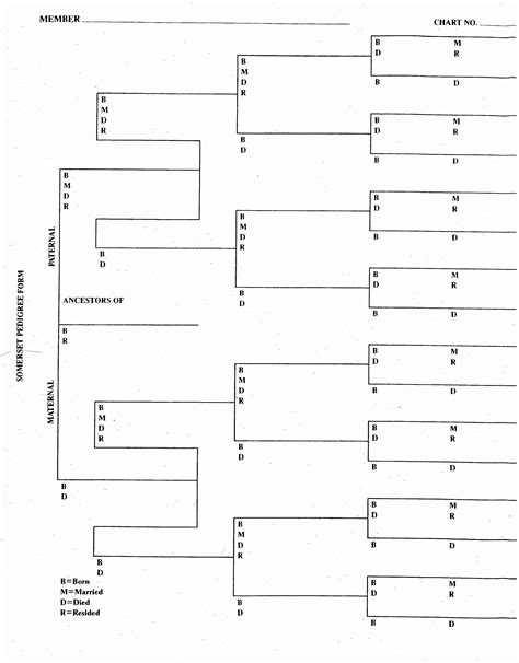 The Canova Genealogy and Family Tree Page