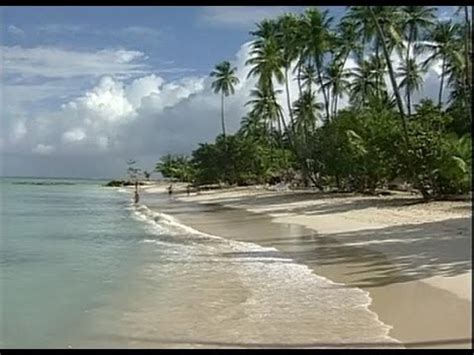 The Caribbean Island of Tobago - YouTube