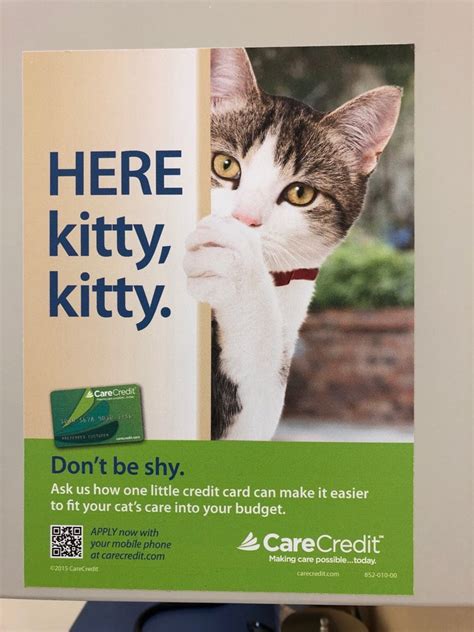 The Cat Clinic Employee Reviews in Cathedral City, CA - Indeed