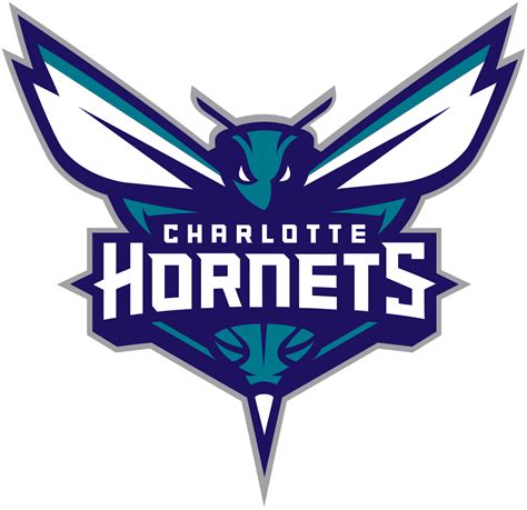 The Charlotte Hornets