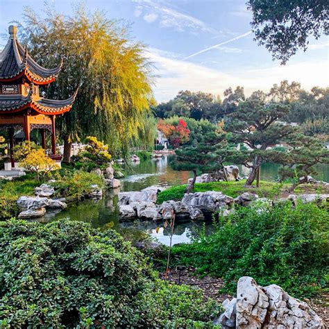 The Chinese Garden at The Huntington Library, Art Museum, and...