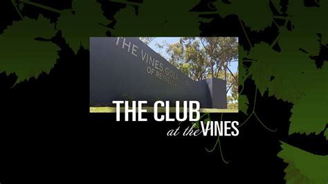 The Club - The Vines