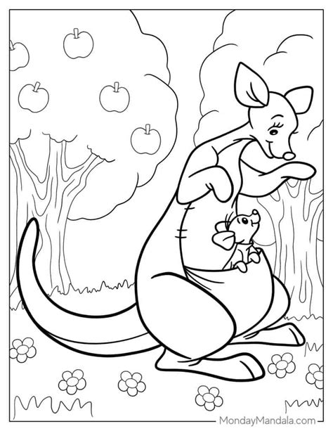 The Coloring Roo