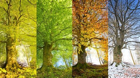 The Colors of Autumn: Measuring the Impact of Seasonal Change