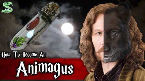 The Complete Animagus Process Explained YouTube Magic abilities
