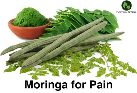 The Complete Guide to Using CBD and Moringa for Pain Relief