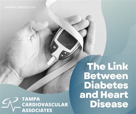 The Connection Between Diabetes, Heart Disease, …