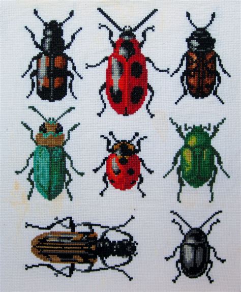 The Cross Stitch Bug