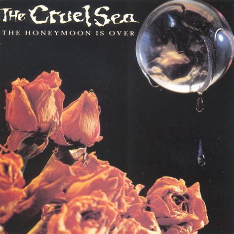 The Cruel Sea – The Honeymoon Is Over Lyrics Genius Lyrics