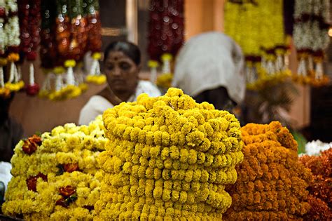 The Cultural Importance of Flowers - WFXG