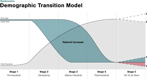 The Demographic Transition Model - Quickonomics