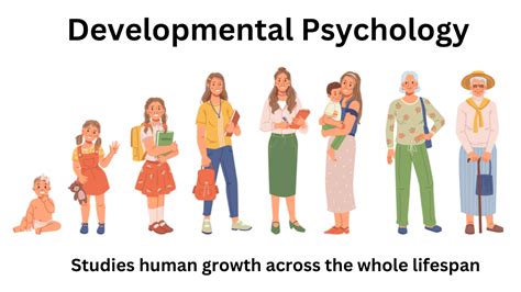 The Development Of Language Studies In Developmental Psychology
