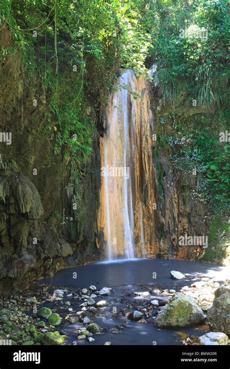 The Diamond Botanical Gardens: A Caribbean Oasis