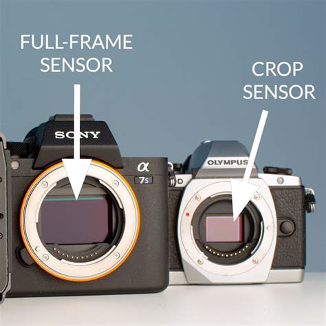 The Difference Between Full Frame & Crop Sensors Nature TTL