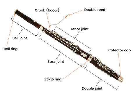 The Different Parts Of A Bassoon: Its Anatomy And Structure