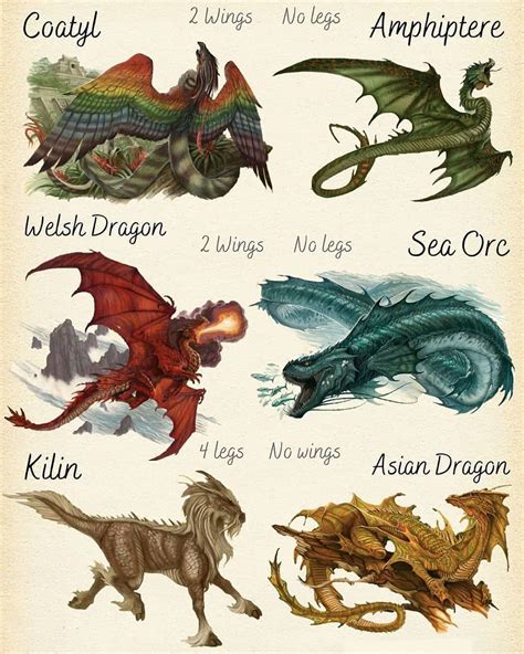 The Dragons Call