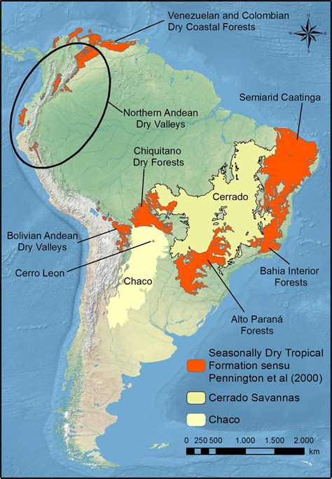 The Dry Plant Formations of South America and Their …