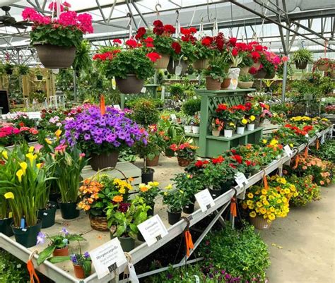 The Dutch Plant Farm - Frederick