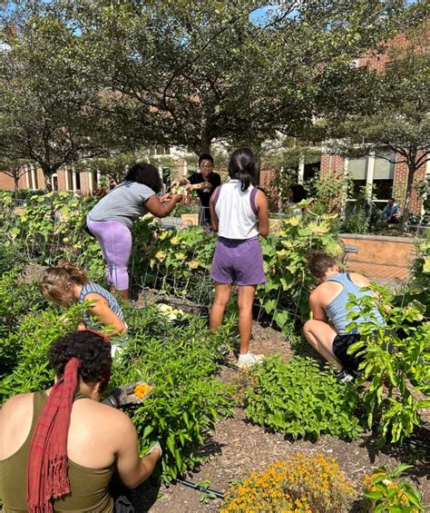 The Earth Commons Georgetown University