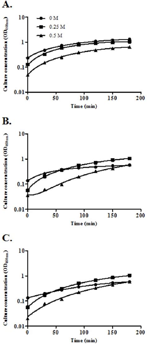 The Effect of Sucrose-induced Osmotic Stress on the …