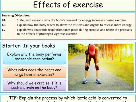 The Effects of Exercise on Reaction Time