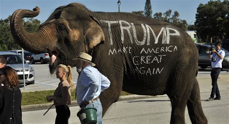 The Elephant s Trump