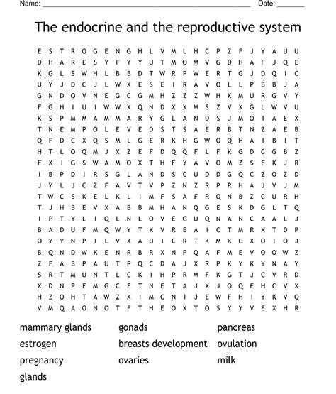 The Endocrine And The Reproductive System Word Search WordMint