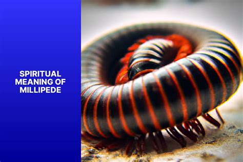 The Enigmatic Millipede: Unraveling the Symbolism and Significance