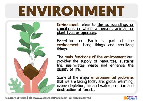 The Environment is the