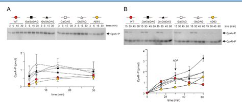 The Escherichia coli Envelope Stress Sensor CpxA Responds to …