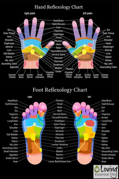 The Essential Guide To Foot And Hand Reflexology