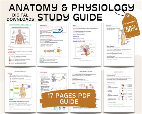The Essential Study And Revision Guide For Anatomy And Physiology