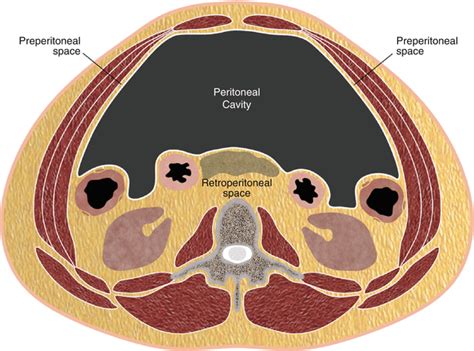 The Extraperitoneal Spaces: Normal and Pathologic Anatomy