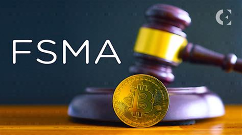 The FSMA's Classification of Crypto Assets