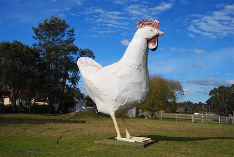 The Fat Chook