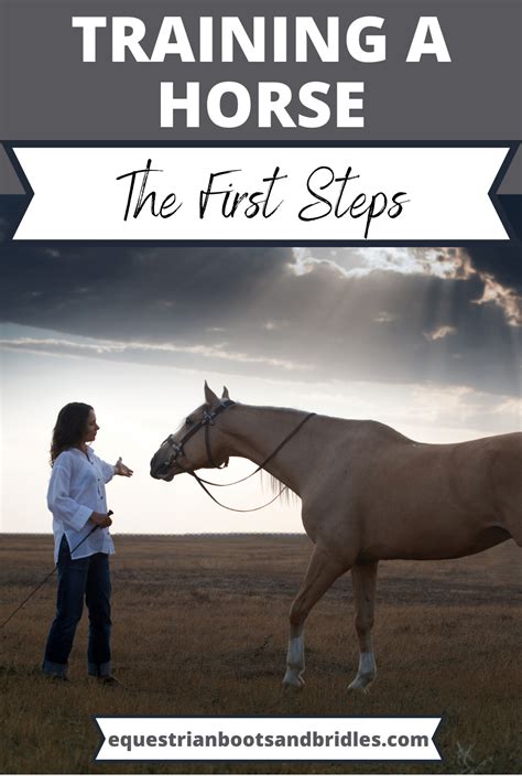 The First Steps To Training A Horse